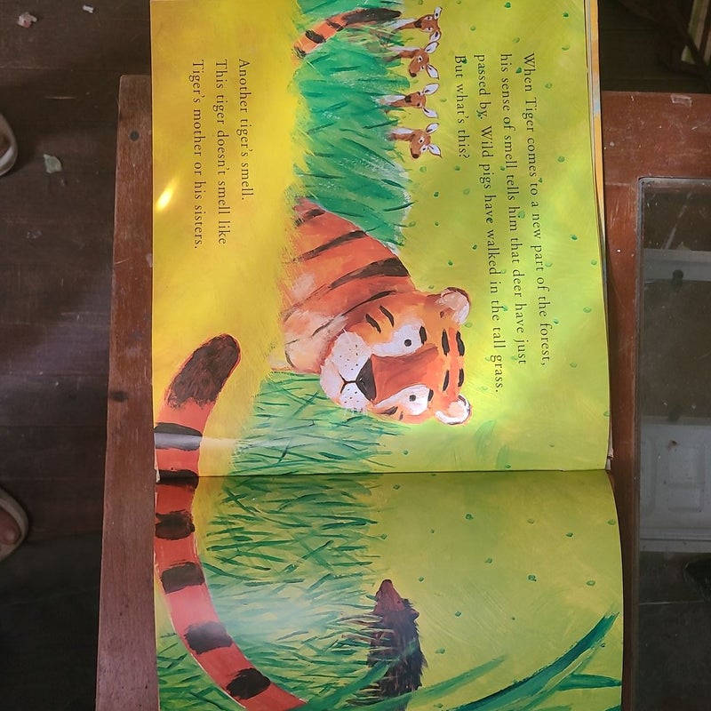 Tiger's Story