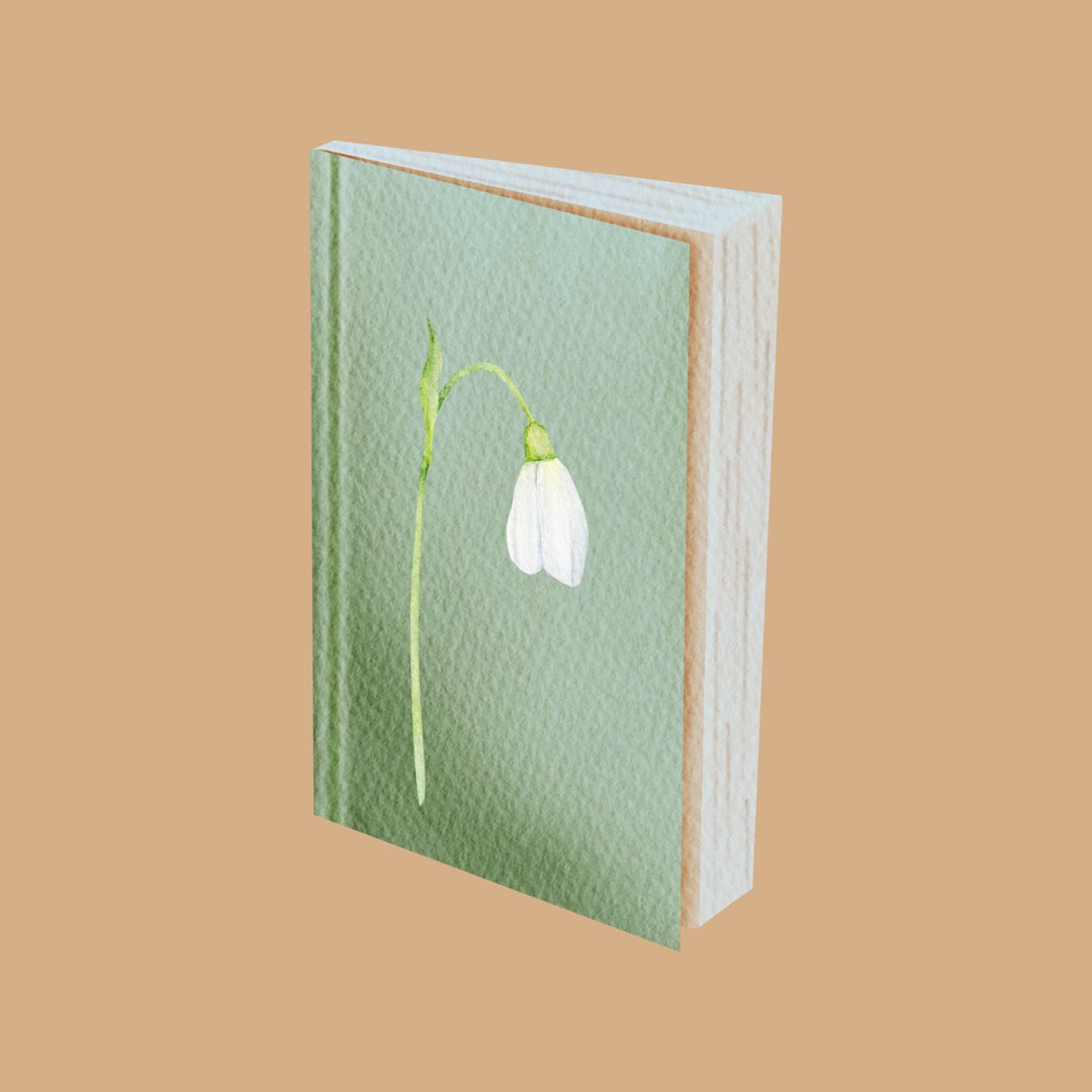 SnowDropBooks