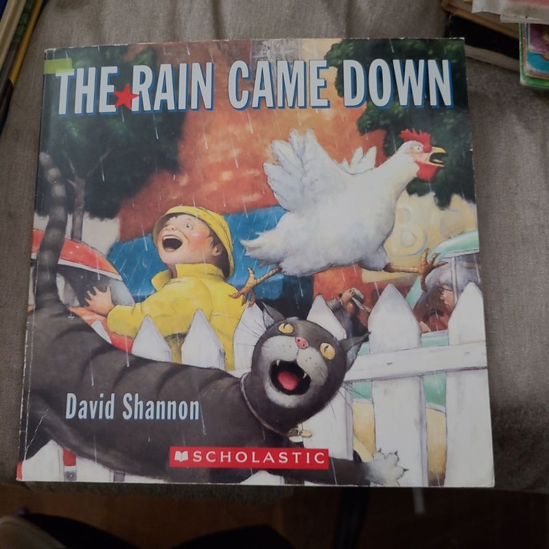 The Rain Came Down