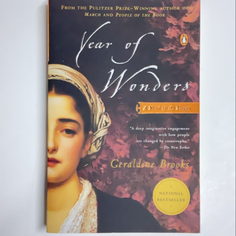 Year of Wonders