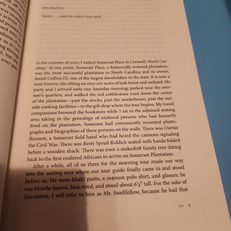 The Delectable Negro