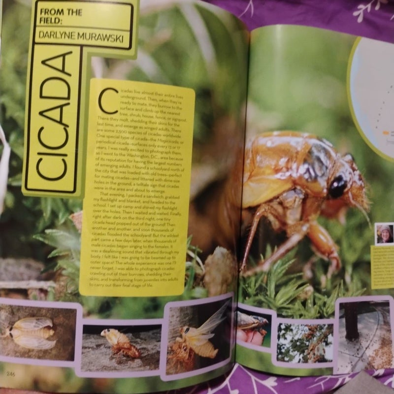 National geographic animal encyclopedia