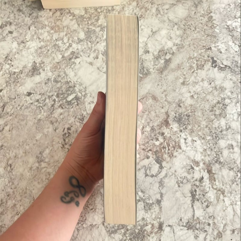 The Assassin's Blade - OOP cover