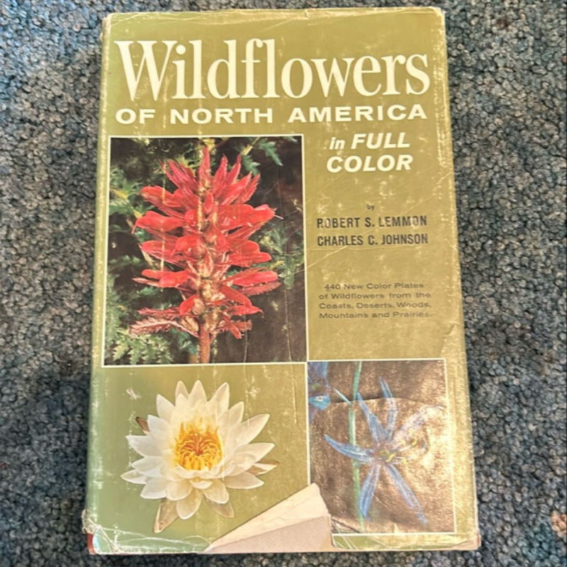 Wildflowers Of North America in Full Color 