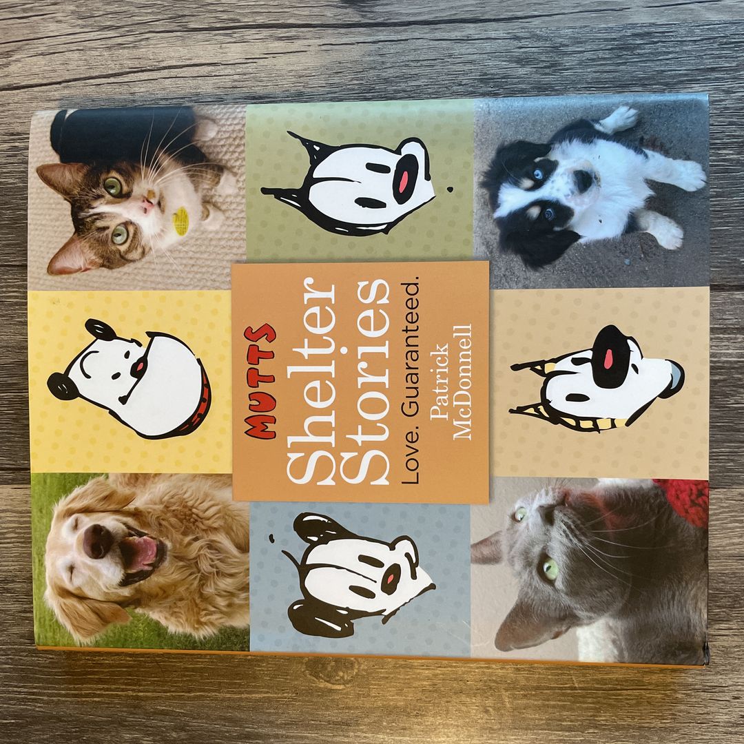 Mutts Shelter Stories