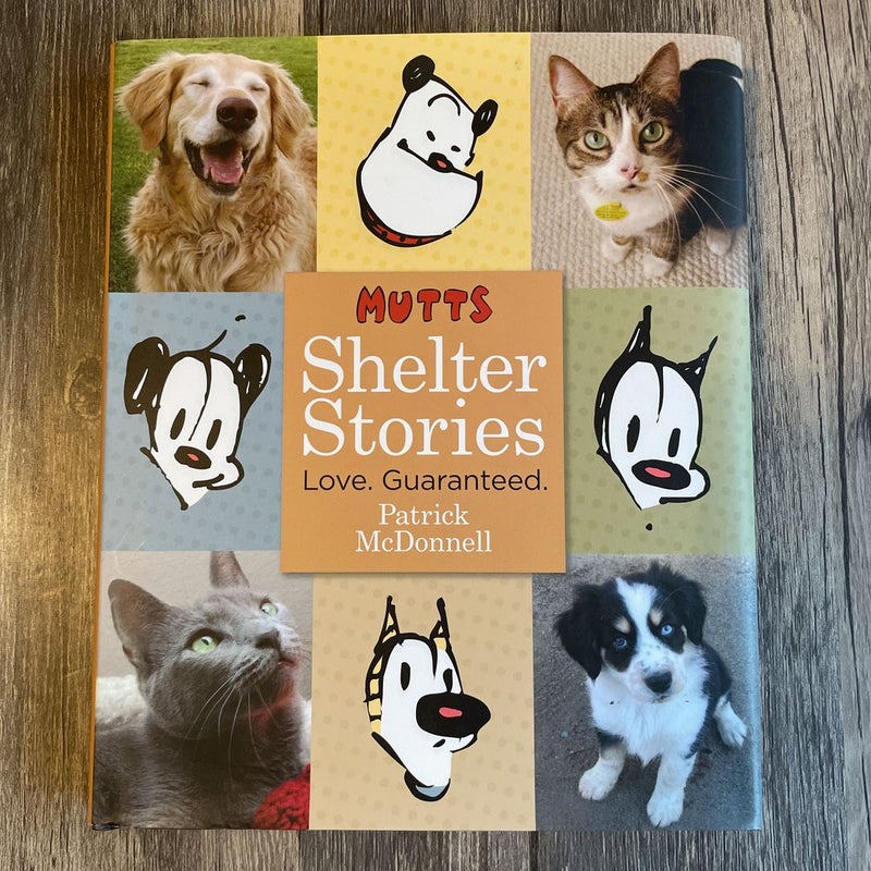 Mutts Shelter Stories