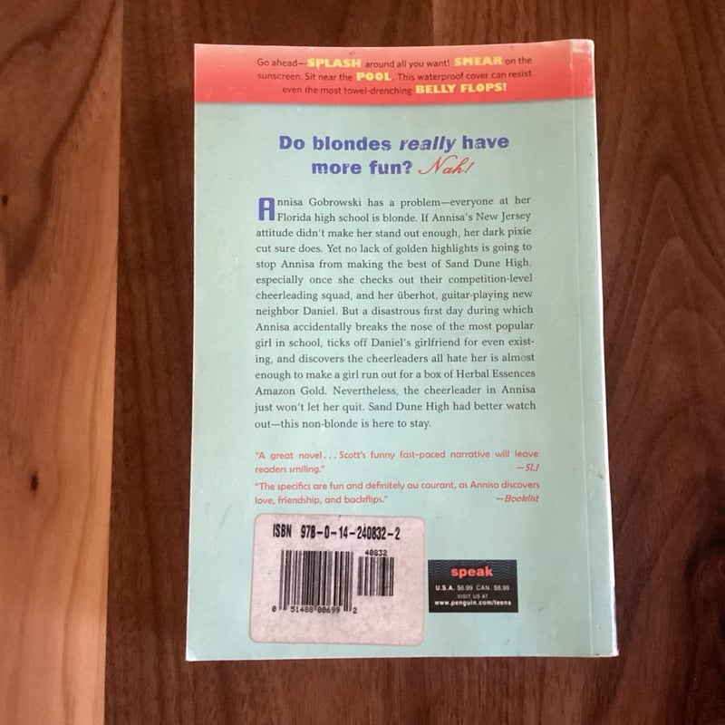 I Was a Non-Blonde Cheerleader