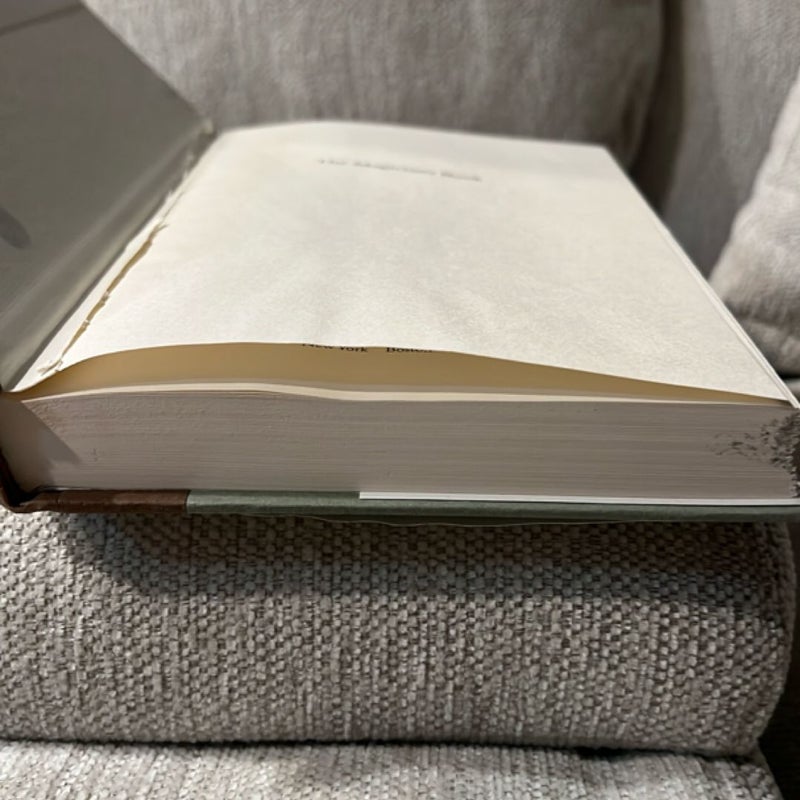 The Magician's Book