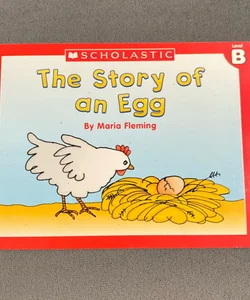 The Story Of an Egg