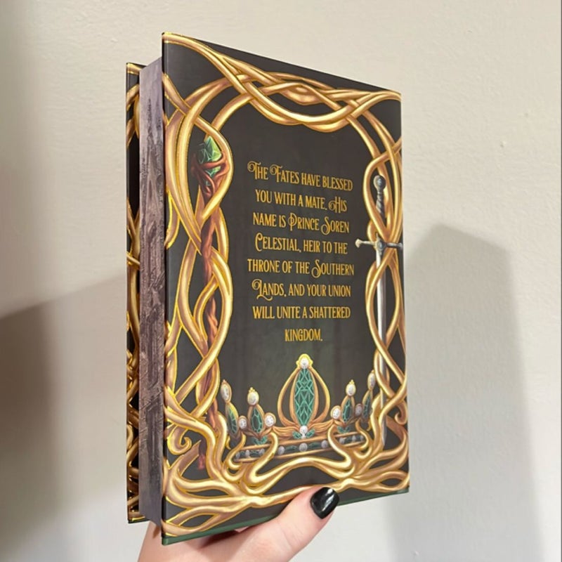 Bookish Box - The Crown of Oaths and Curses