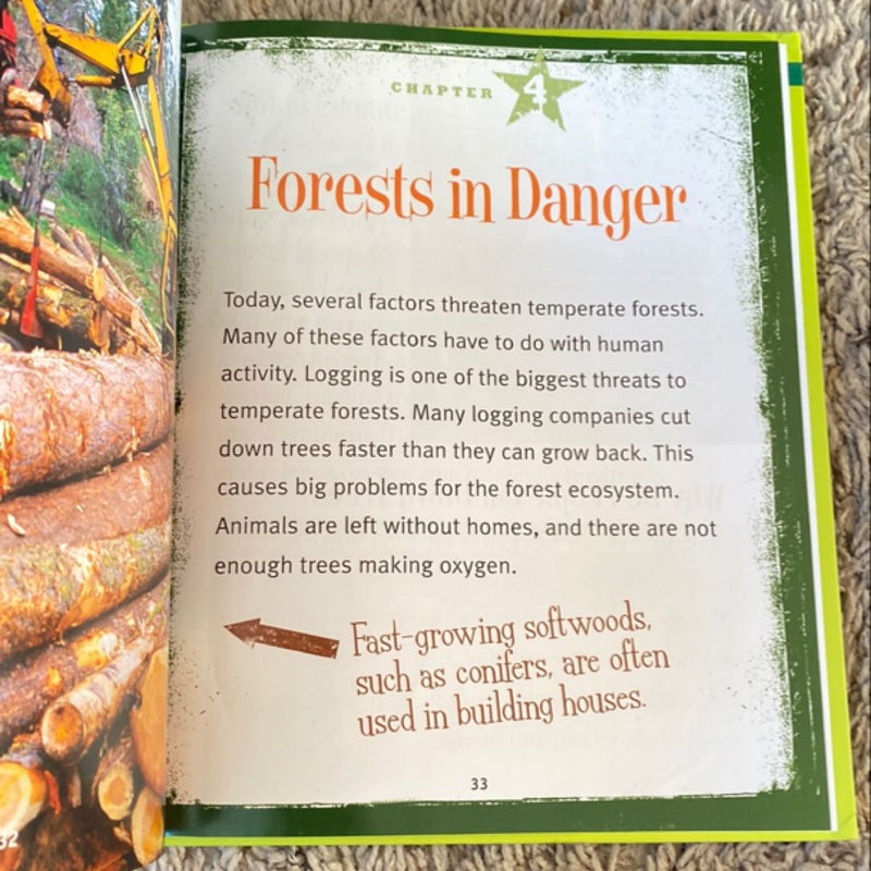 Temperate Forests