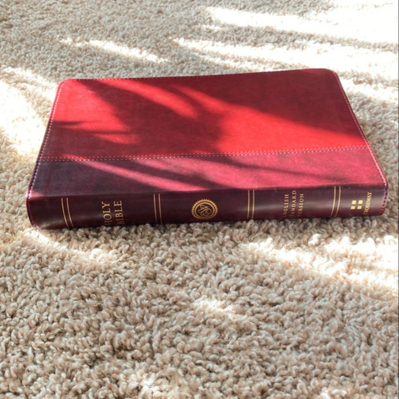 ESV Large Print Thinline Bible (TruTone, Burgundy/Red, Timeless Design)