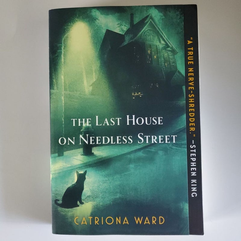 The Last House on Needless Street