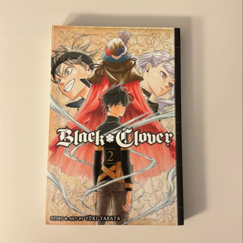 Black Clover, Vol. 2