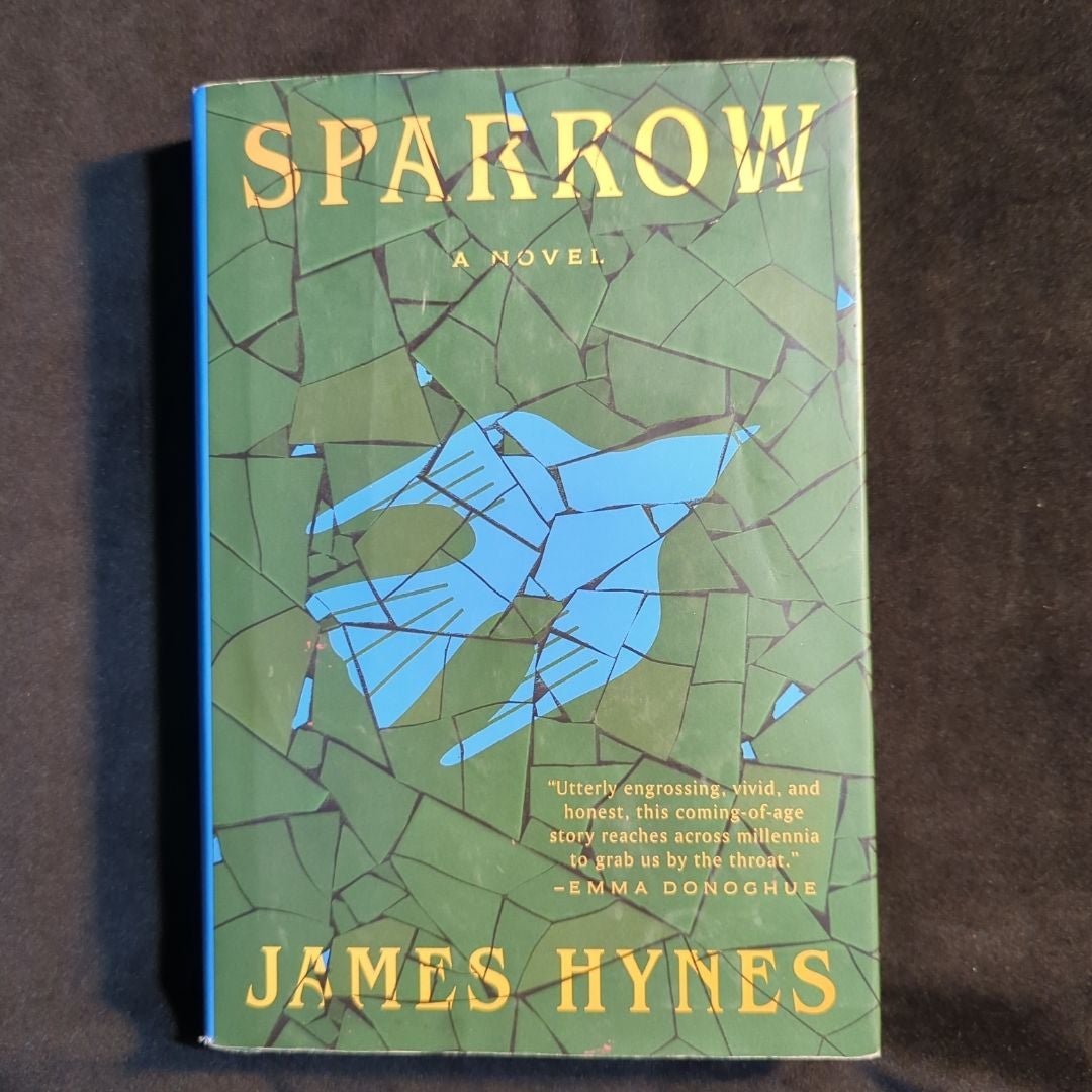 Temple Of Blasphemy by Trevor Brown, Paperback | Pangobooks