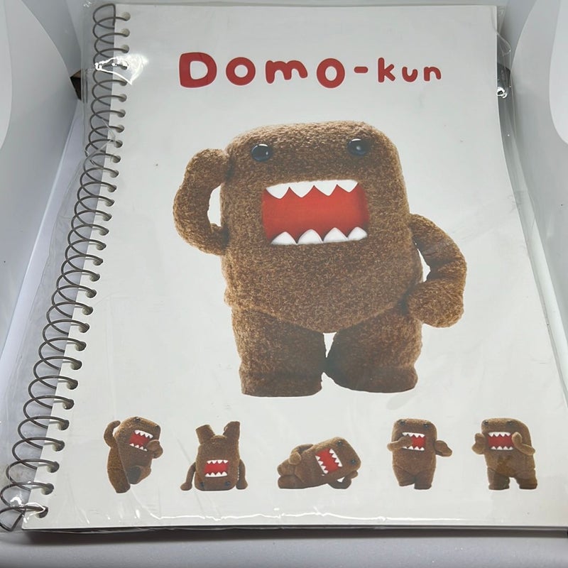 Domo notebook
