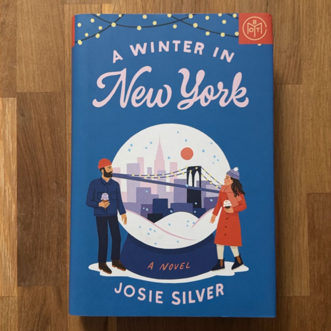 A Winter in New York