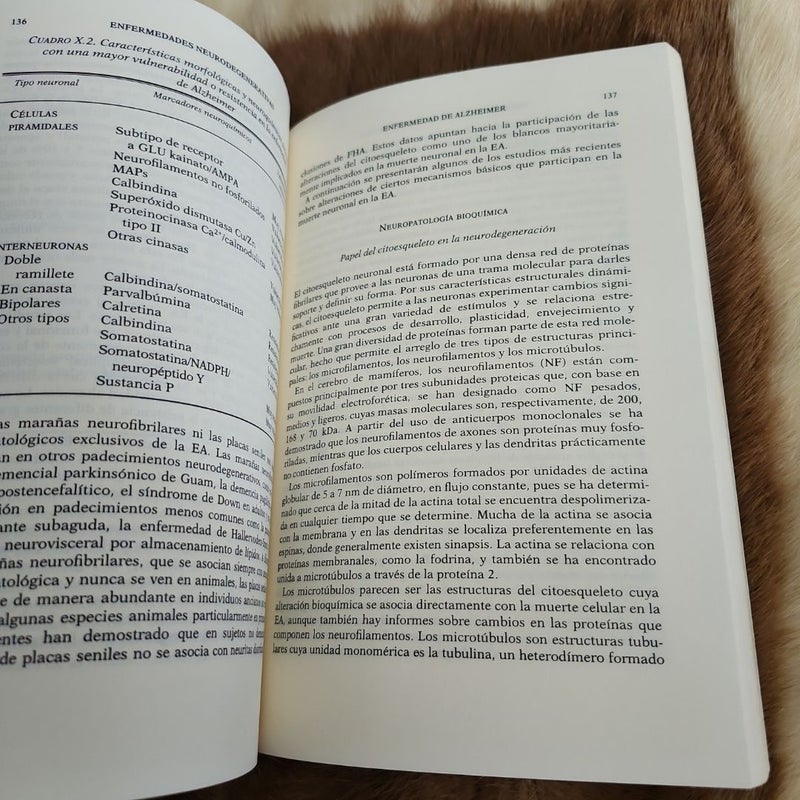 Enfermedades Neurodegenerativas
