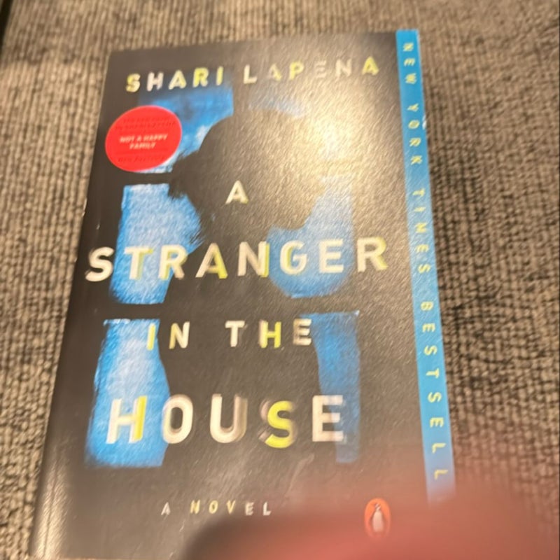 A Stranger in the House