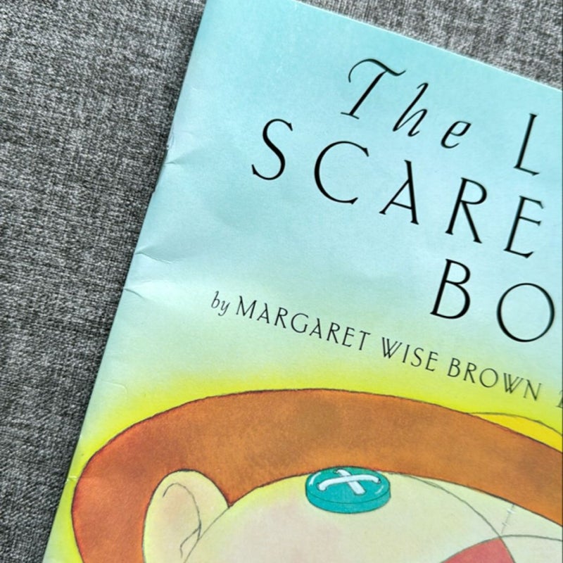 The Little Scarecrow Boy