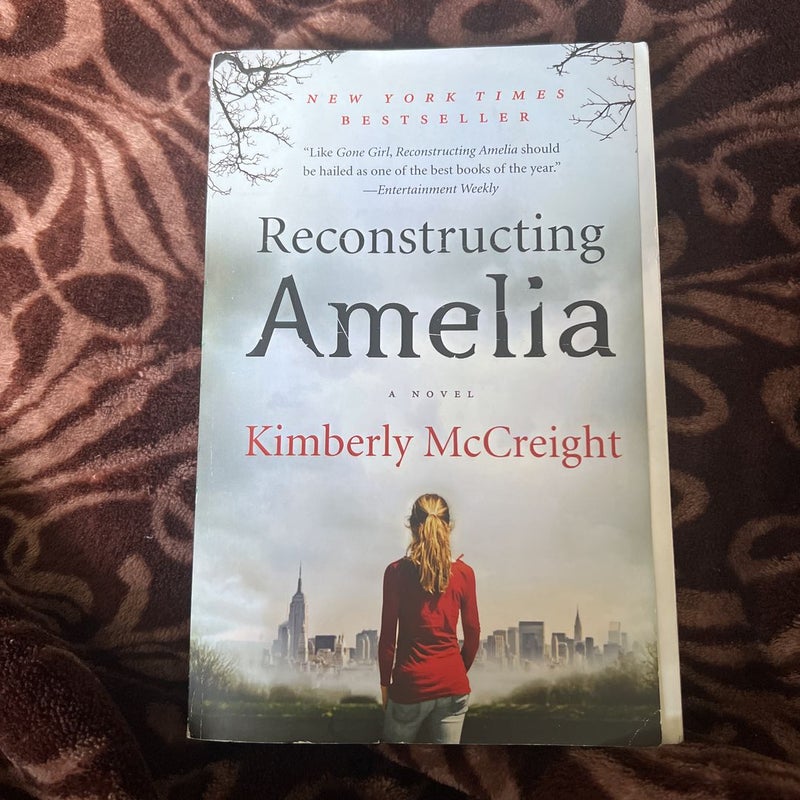 Reconstructing Amelia