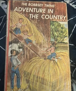 The Adventure in the Country
