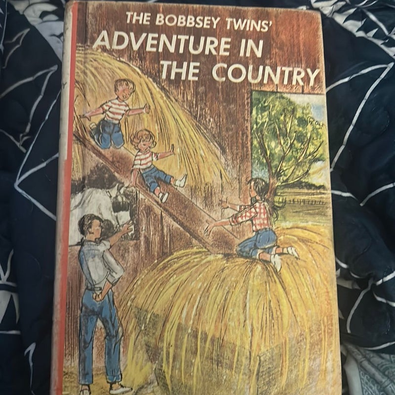 The Adventure in the Country