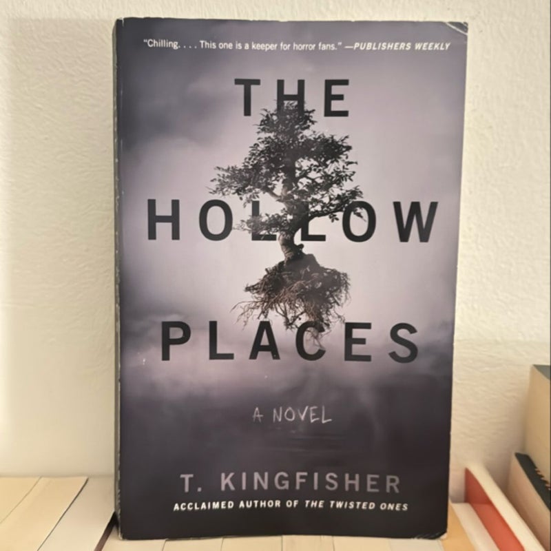 The Hollow Places