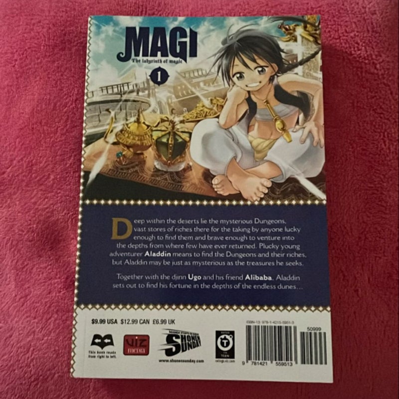 Magi: the Labyrinth of Magic, Vol. 1