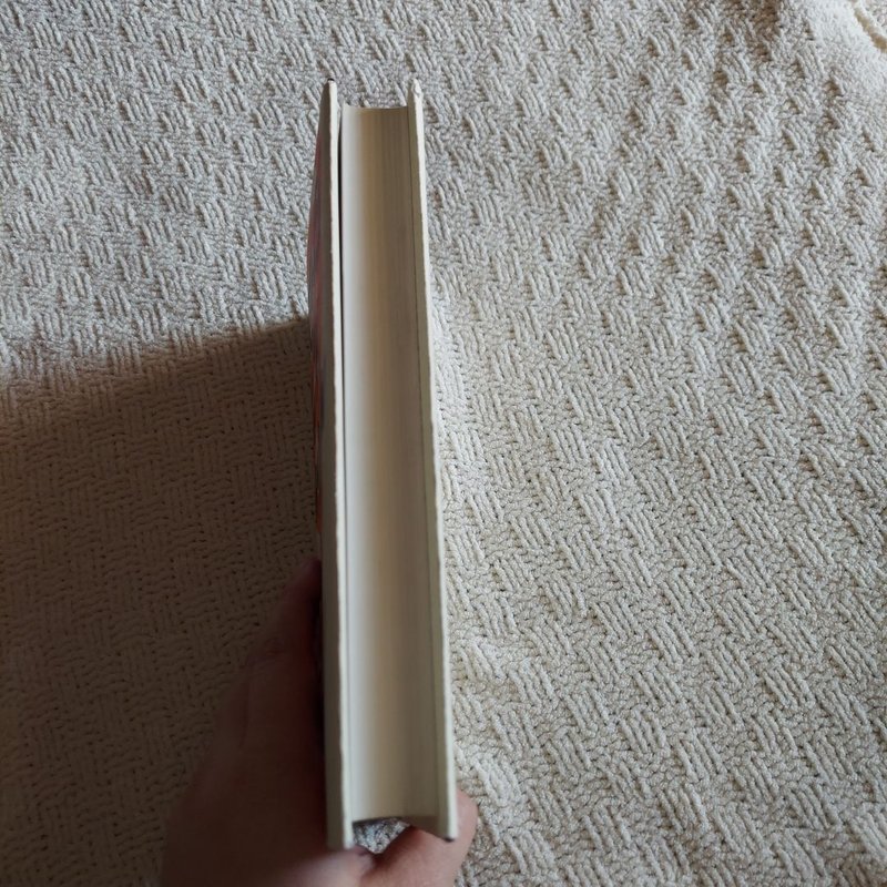 Turtles All the Way down (Signed Edition)