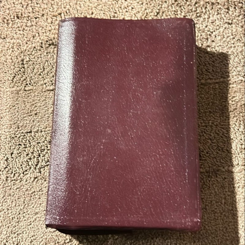 NIV Study Bible