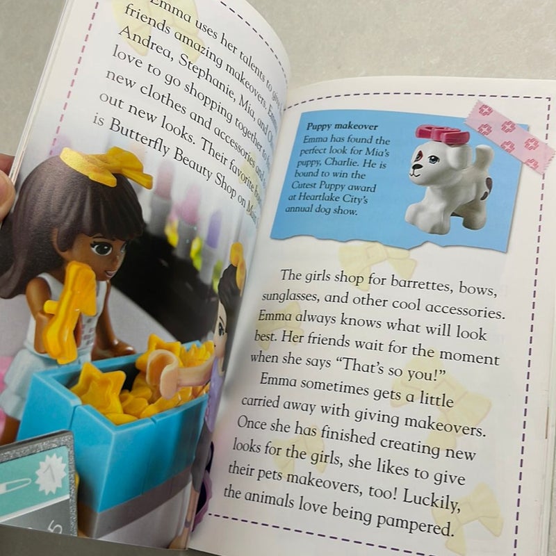 Lego Friends & Rainbow Magic Fairies Reading Bundle