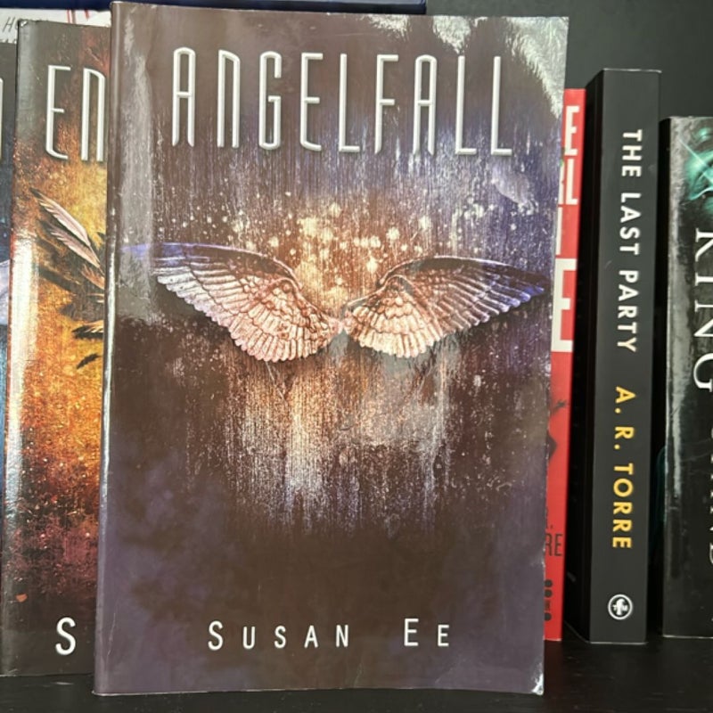 Angelfall