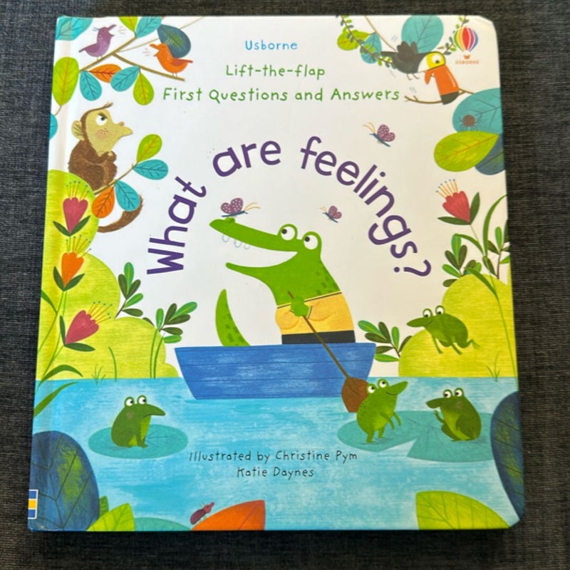 Lift-The-Flap First Questions and Answers What Are Feelings?