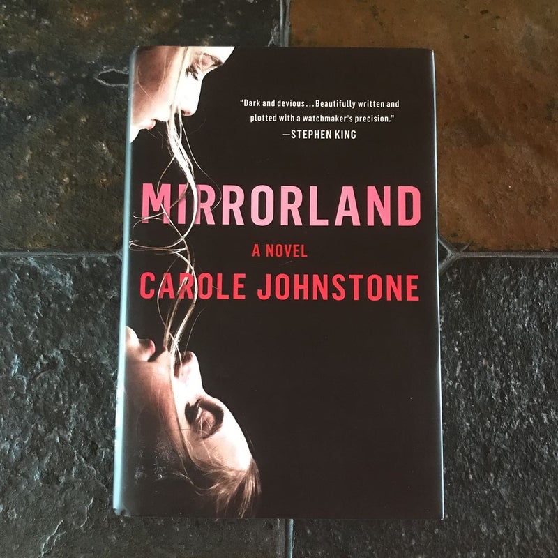 Mirrorland