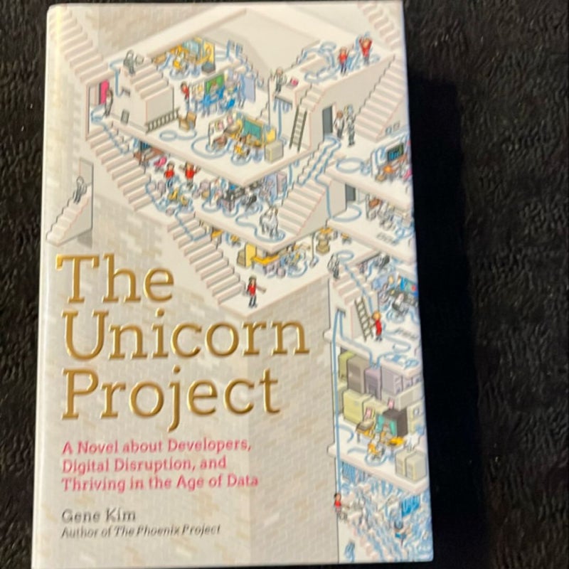 The Unicorn Project