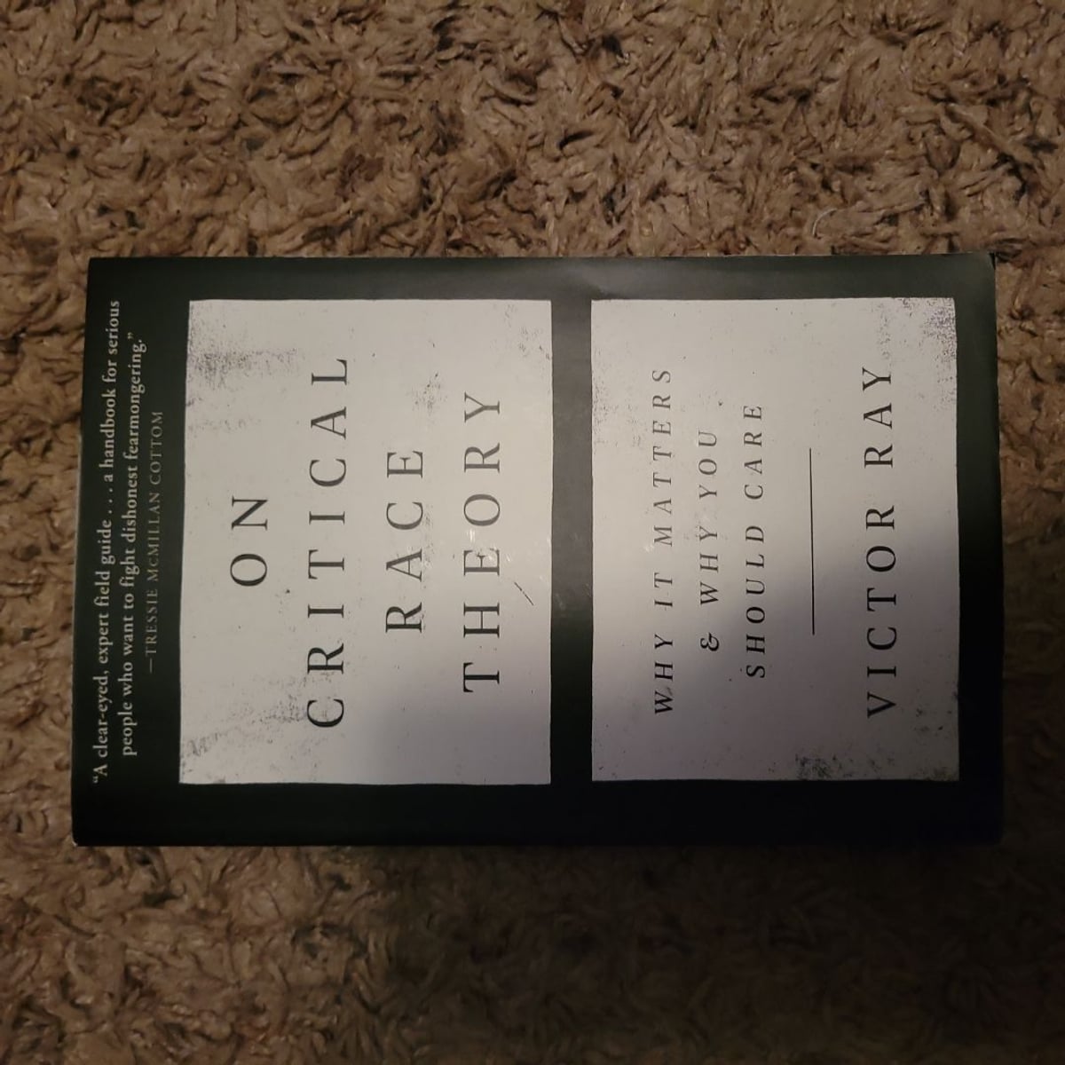 On Critical Race Theory by Victor Ray