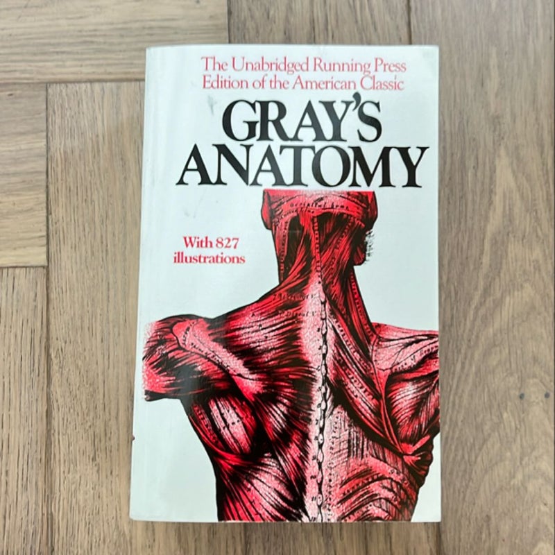 Gray's Anatomy