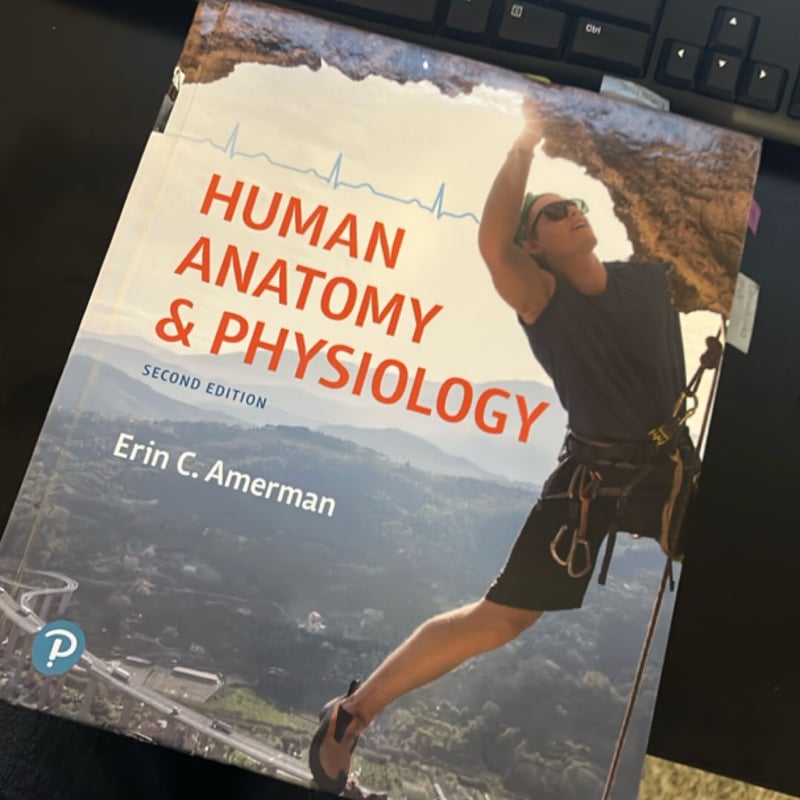 Human Anatomy and Physiology by Erin Amerman