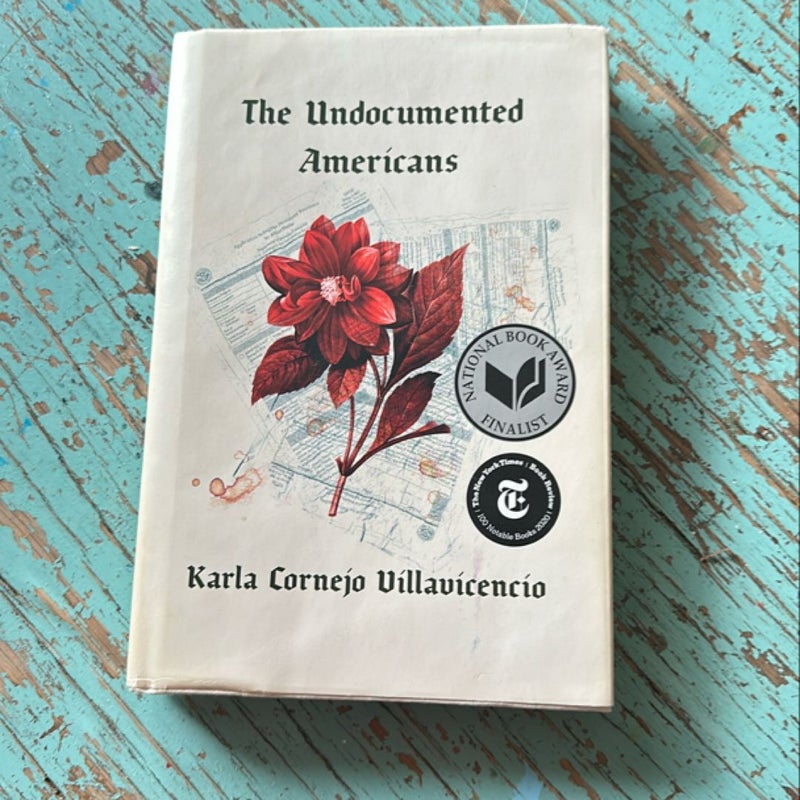 The Undocumented Americans