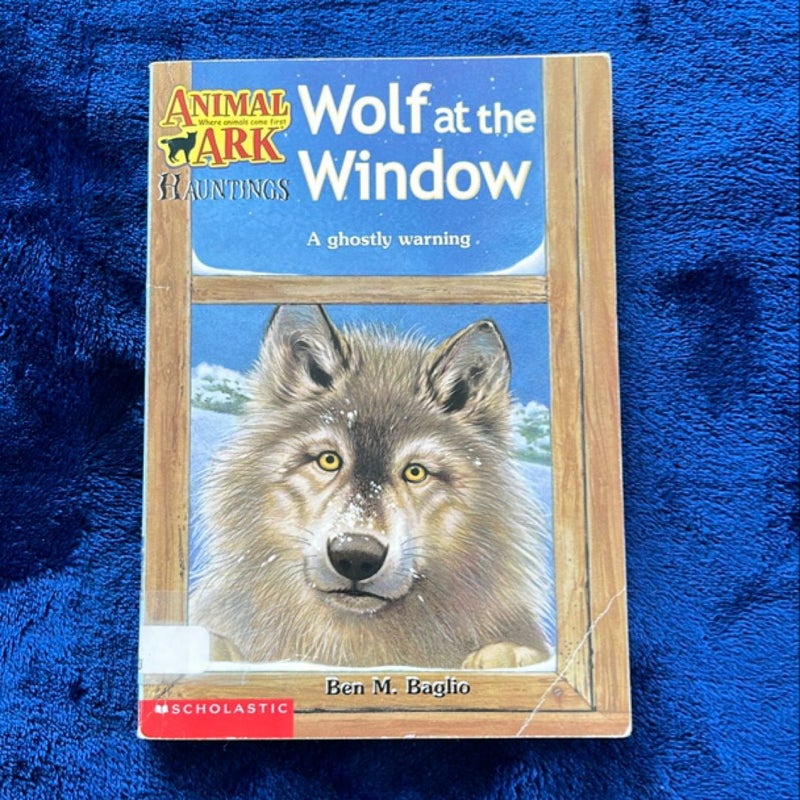 Wolf at the Window