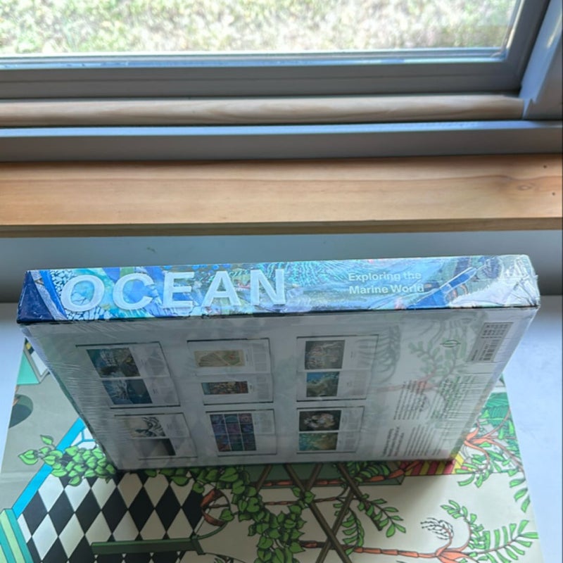 Ocean