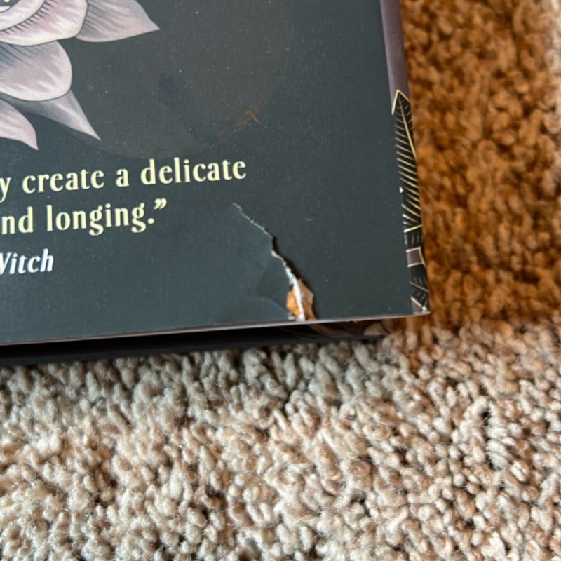 An Education in Malice