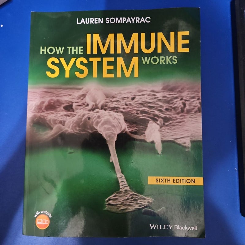 How the Immune System Works