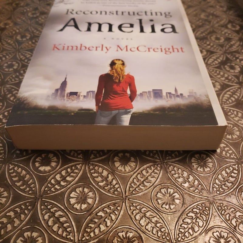 Reconstructing Amelia