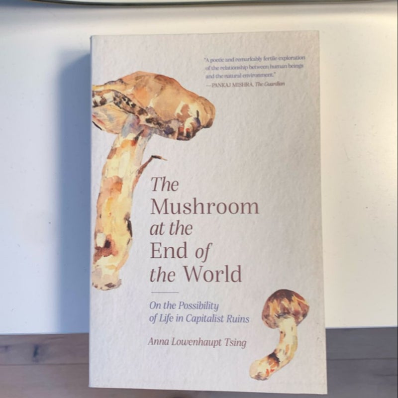 The Mushroom at the End of the World