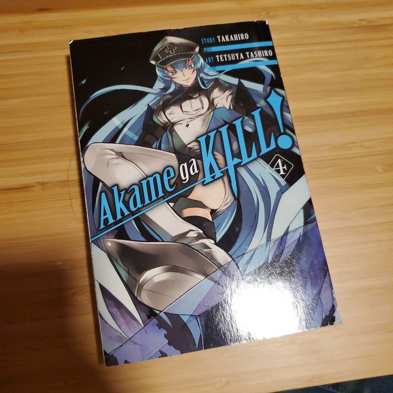 Akame Ga KILL!, Vol. 4