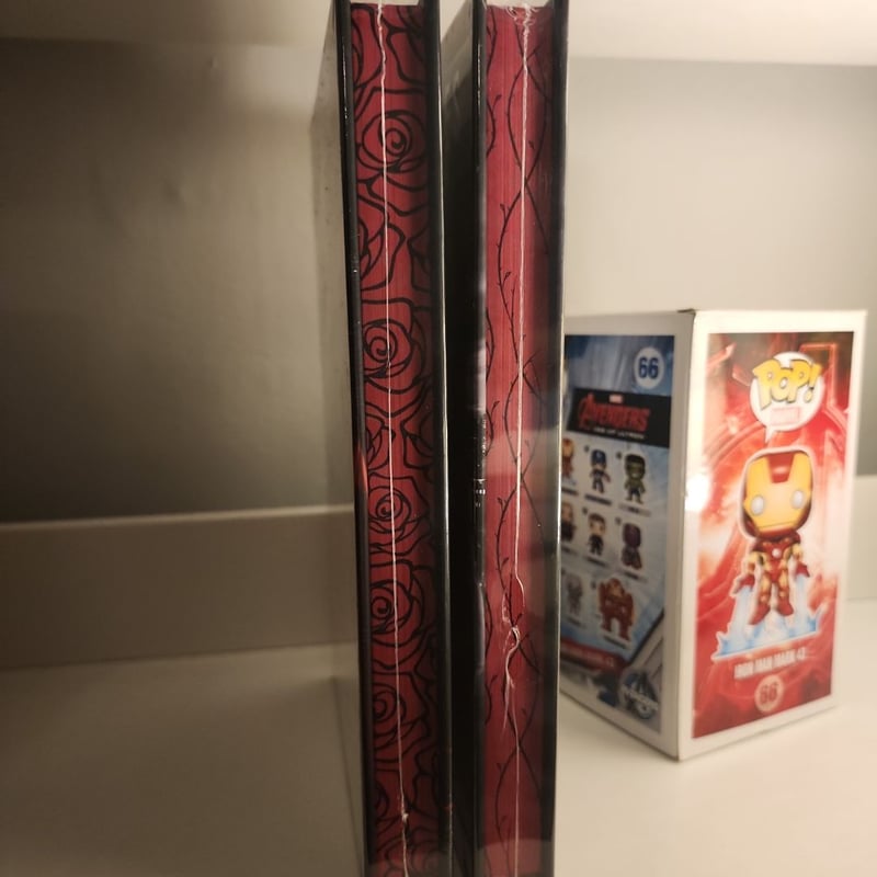 When Villains Rise/When Heroes Fall set by Giana Darling, Hardcover ...
