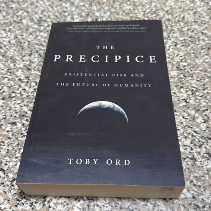 The Precipice