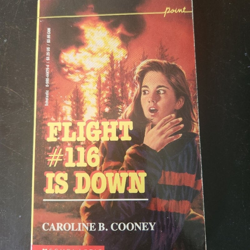 Flight #116 is down